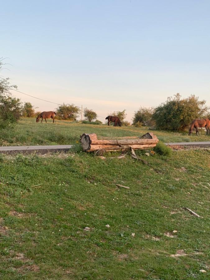 Cabanas Buenache Buenache de la Sierra Buitenkant foto